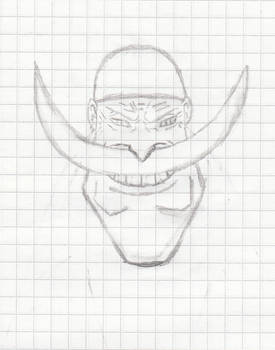 Whitebeard's head :D