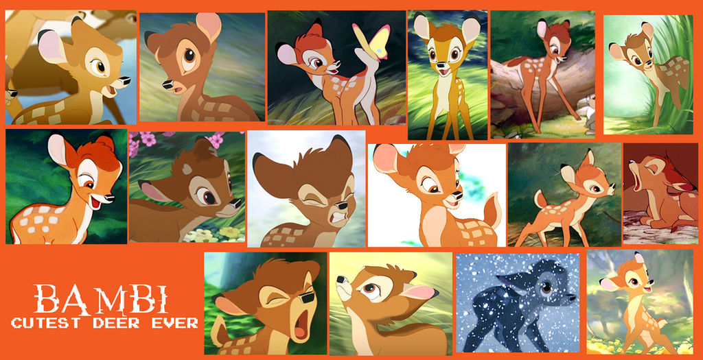 Bambi Collage by ScampTheWolf on DeviantArt Bambi Collage by ScampTheWolf on DeviantArt