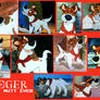 Dodger From Oliver And Company Collage