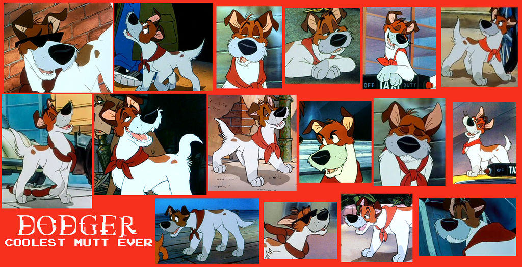 Dodger From Oliver And Company Collage By ScampTheWolf On DeviantArt dodger-from-oliver-and-company-collage-by-scampthewolf-on-deviantart
