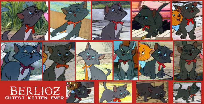 Berlioz From Aristocats Collage