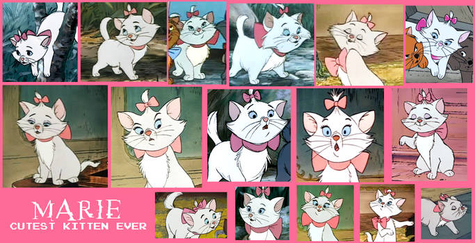 Marie From Aristocats Collage