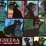 Bagheera From Jungle Cubs Collage