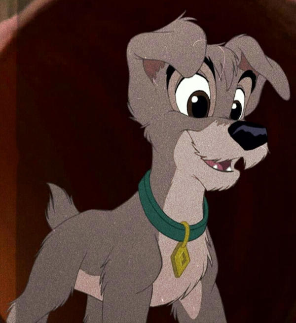 Scamp In 35mm by ScampTheWolf on DeviantArt