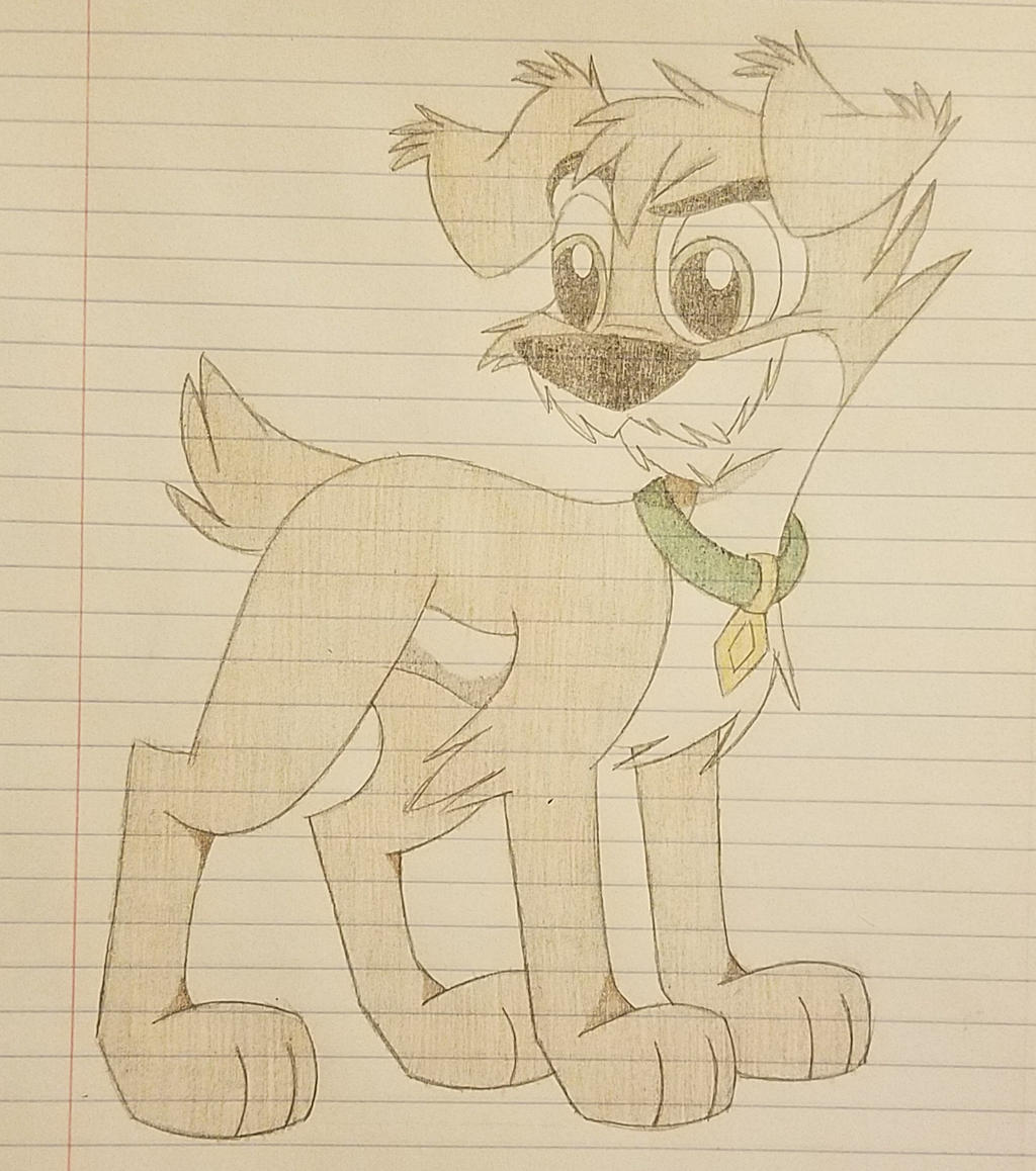 Scamp Sketch by ScampTheWolf on DeviantArt