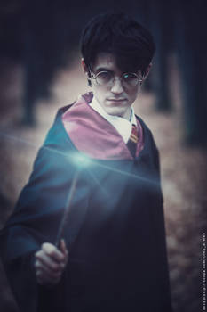 Harry Potter1