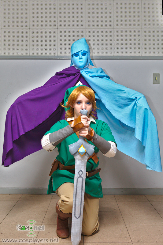 Link and Fi