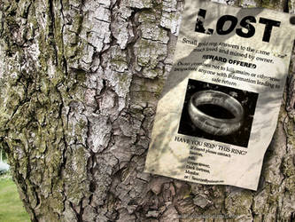 LOTR - lost ring by steelgohst