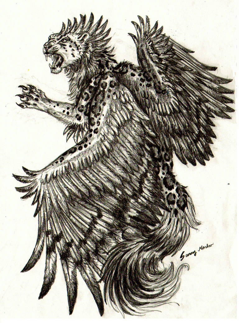 Winged Leopard Vector Winged Leopard sketch by Sunima on DeviantArt