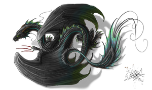 Black Dragon Tattoo