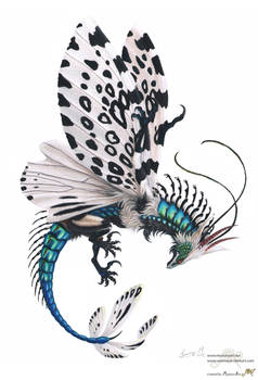 Bottle leopard Moth Dragon