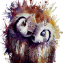 Owls v2