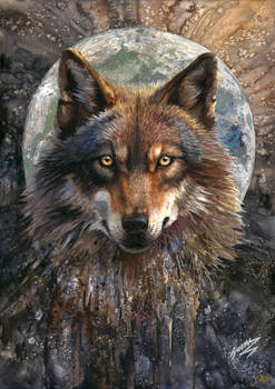 Fullmoon wolf
