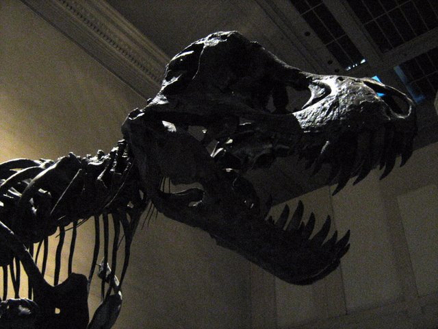 Things from DC: TRex