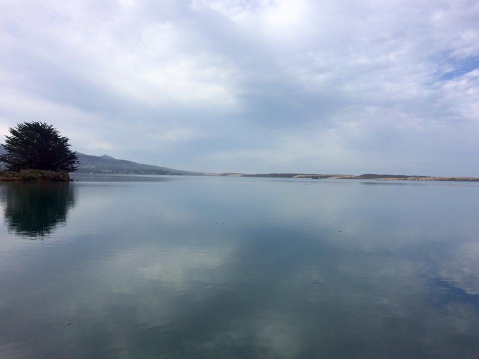 Morro Bay Marina