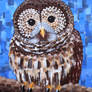 Barred Owl in Acrylic