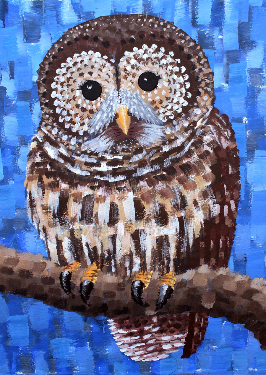 Barred Owl in Acrylic