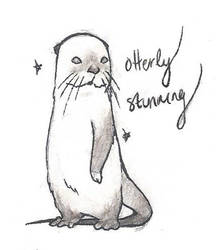 Otter Sketch