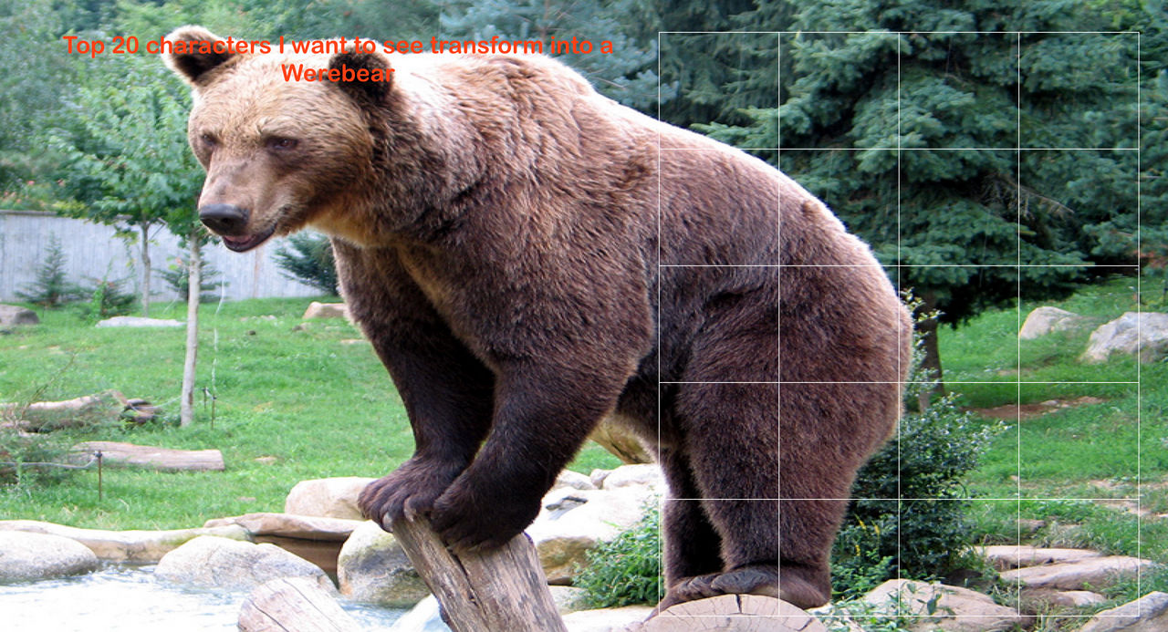 20 characters to transform into a Werebear by HolloThere on DeviantArt