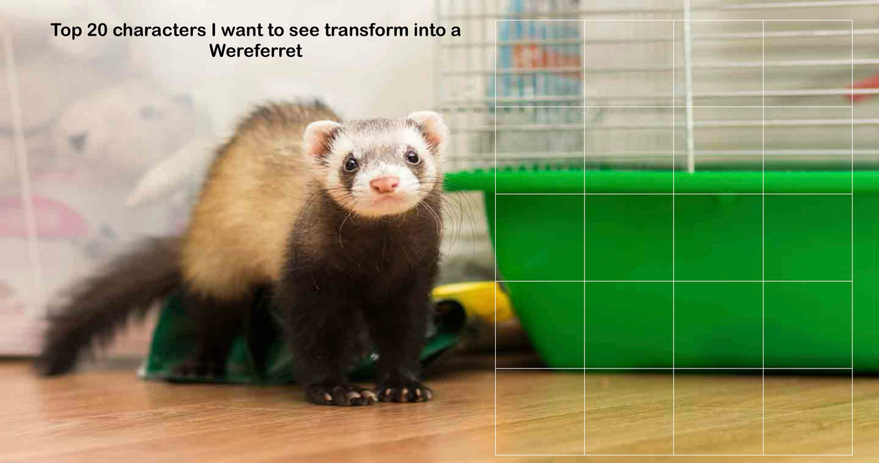 Hyper Ferret Top 20 characters to transform into a Wereferret by HolloThere on ...
