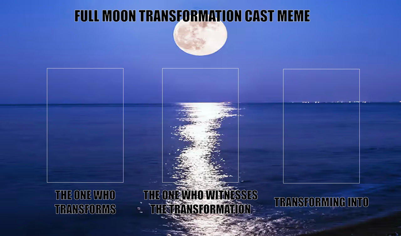 Full Moon Transformation cast meme
