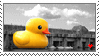 STAMP03 - Rubber Duck