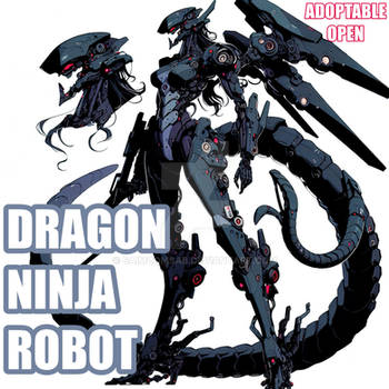 Dragon Ninja Robot Adoptable Open Ap24 (6)