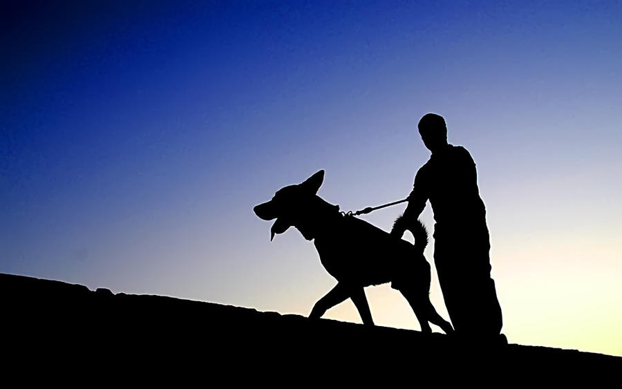 dog rider by frkaksl on DeviantArt