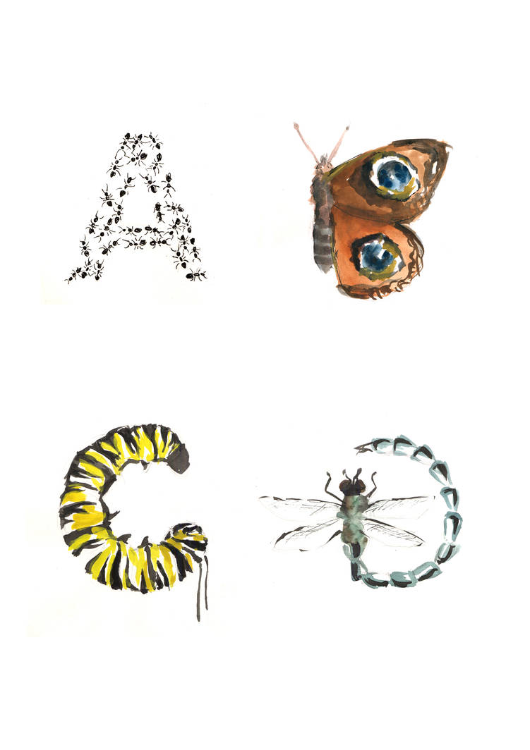 Creatures Insects Letters Insect Alphabet part 1 by rasosportfolio on DeviantArt
