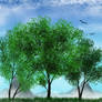 Nature (5-18-2026)