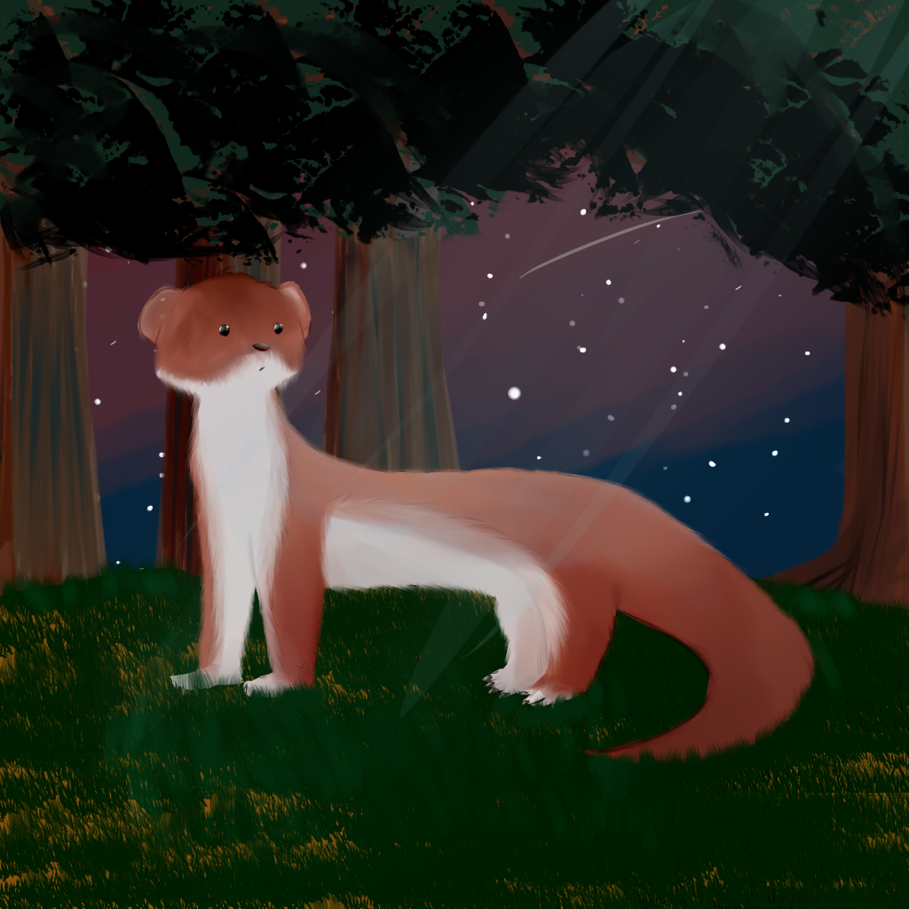 Stoat drawing by DemunKitteh on DeviantArt