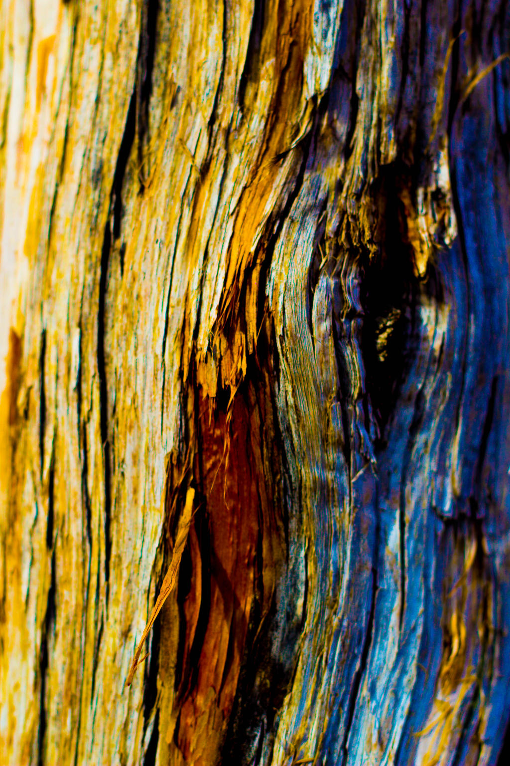 psychedelic wood