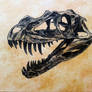 dinosaur skull ceratosaurus