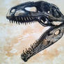 Dinosaur skull Giganotosaurus