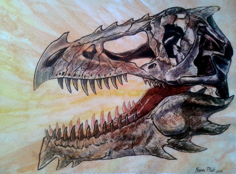 Dragon Skull By Watjong On Deviantart Dragon Skull By Watjong On Deviantart