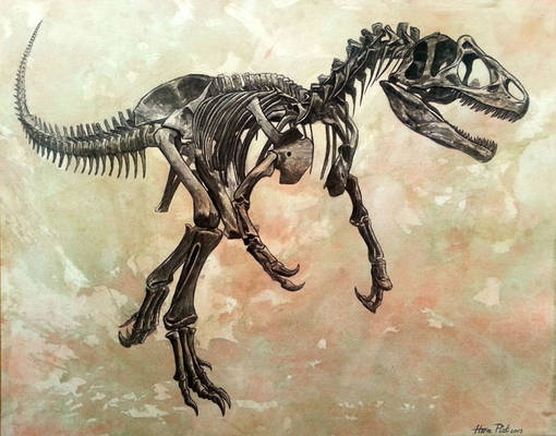 Allosaurus  fragilis skeleton