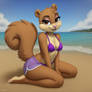 Sandy Cheeks concept 2