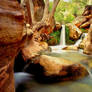 Grand Canyon, Deer Creek