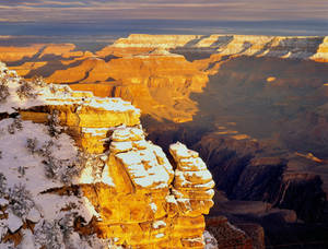 Winter Dawn, Grand Canyon