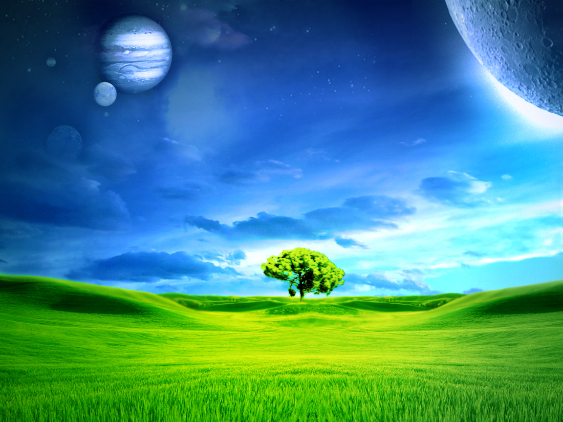 tree ground by jas-one on DeviantArt tree ground by jas-one on DeviantArt