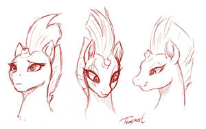 Tempest sketch by SakuraCheetah Tempest sketch by SakuraCheetah