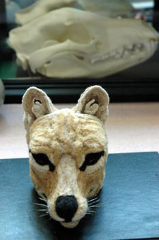 Thylacine Sculpture WIP
