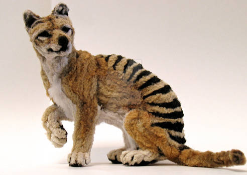 Small Thylacine