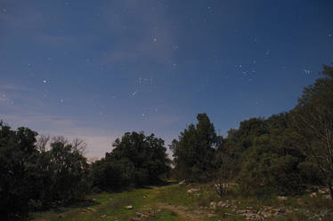 Nocturne au pied au Pic Saint-Loup