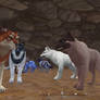 Wolf tales rare wolves den 