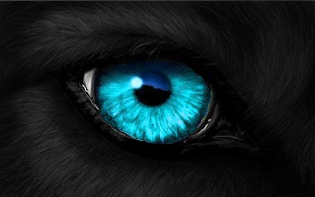 Blue Wolf's Eye