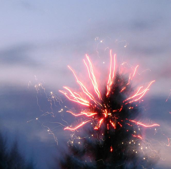 Blowing Up Trees