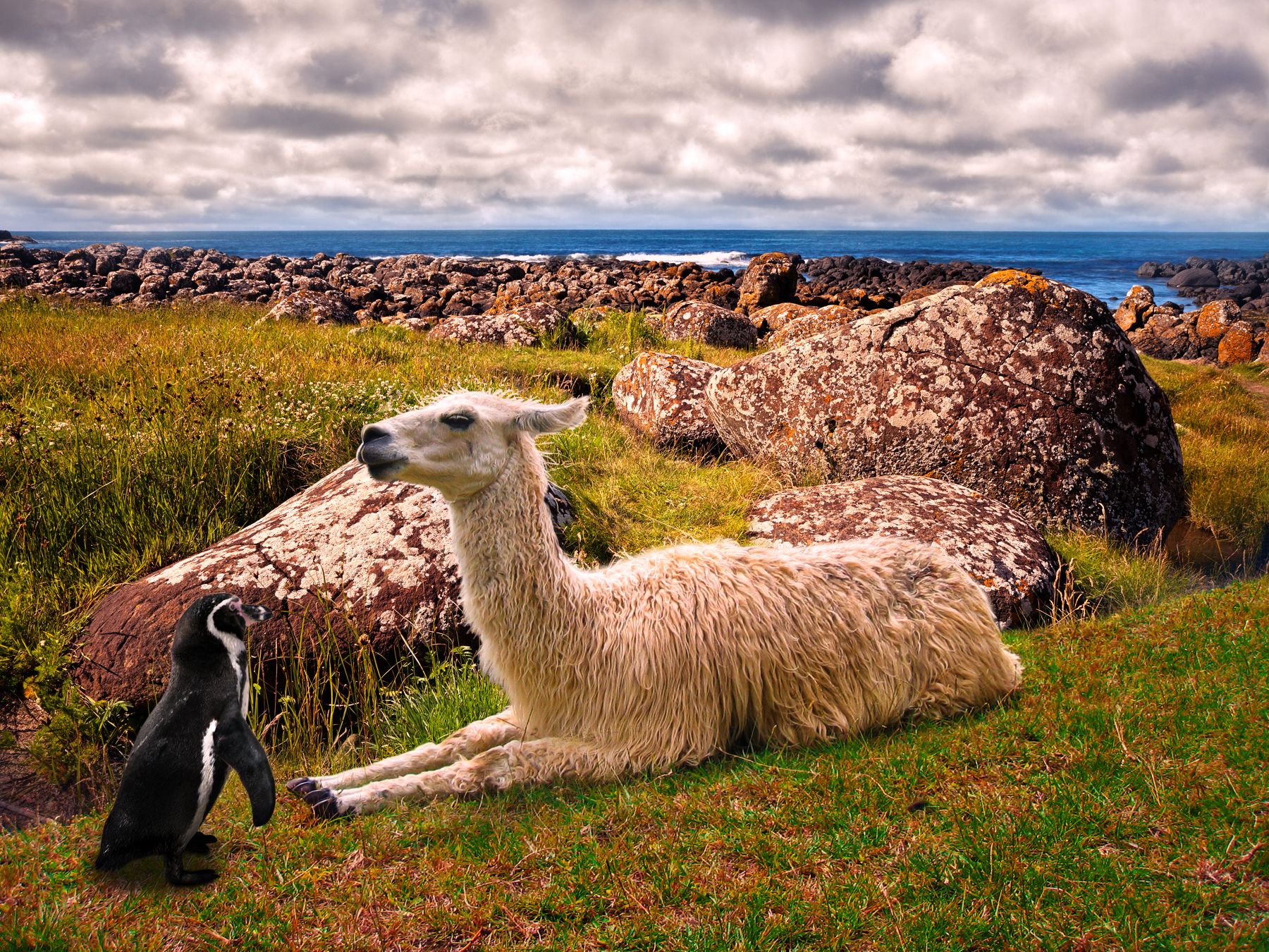 Penguin and Friend