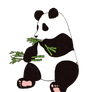 Edited Panda