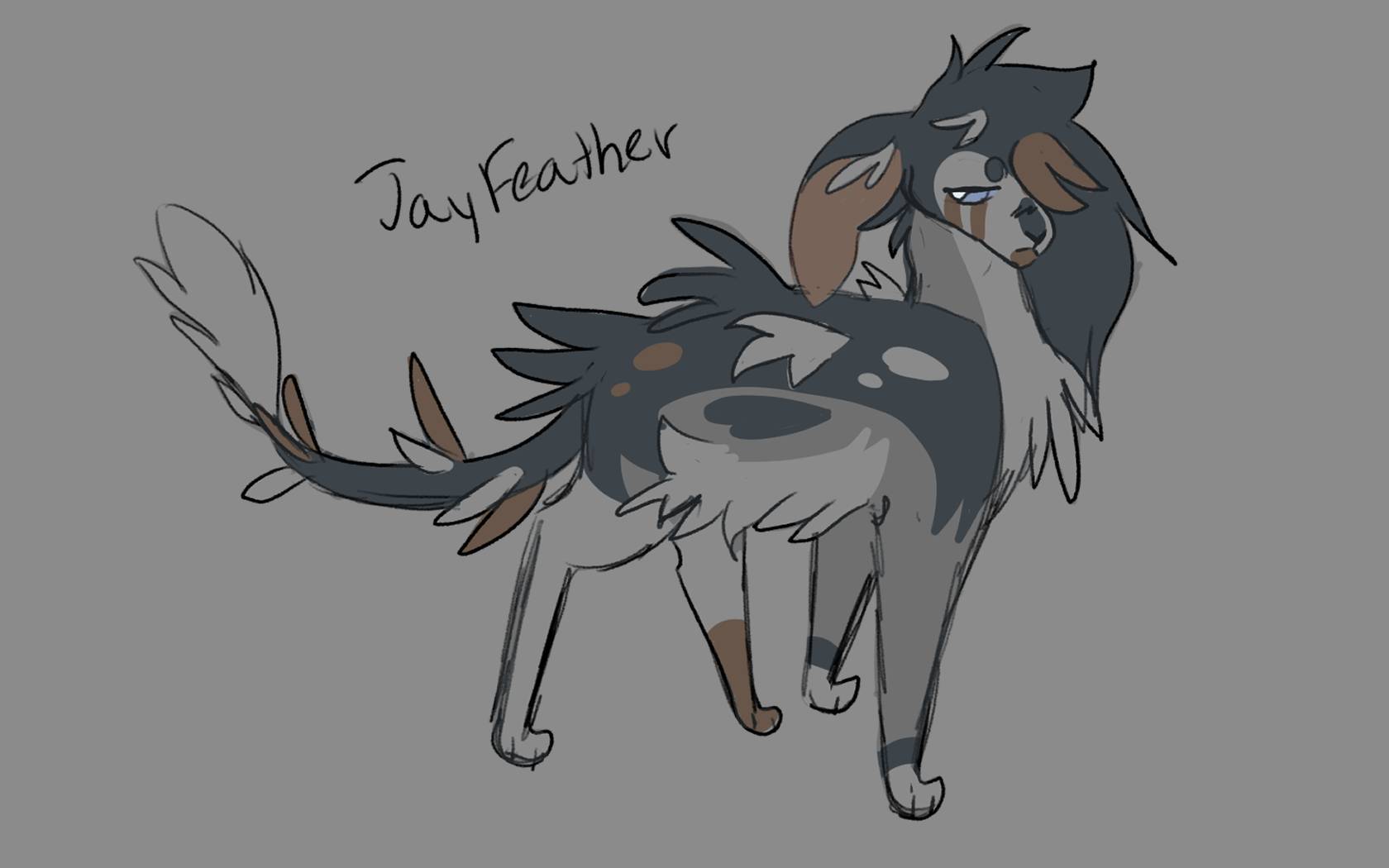 Jayfeather  Warrior cats redesign by Hikari-Hisudo on DeviantArt